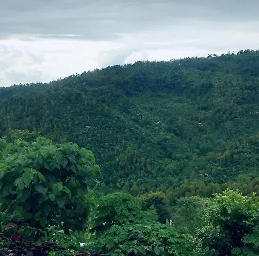 D'rus Hill Munduk Singaraja