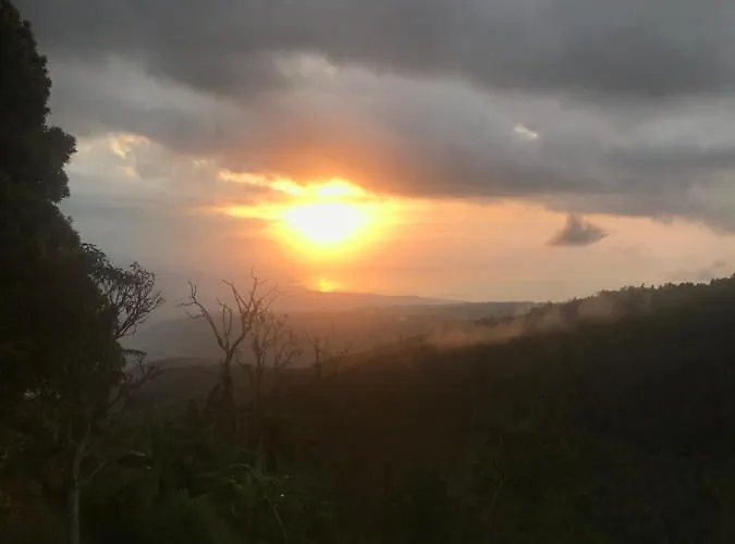 D'rus Hill Munduk Singaraja